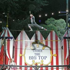 Wire Walker